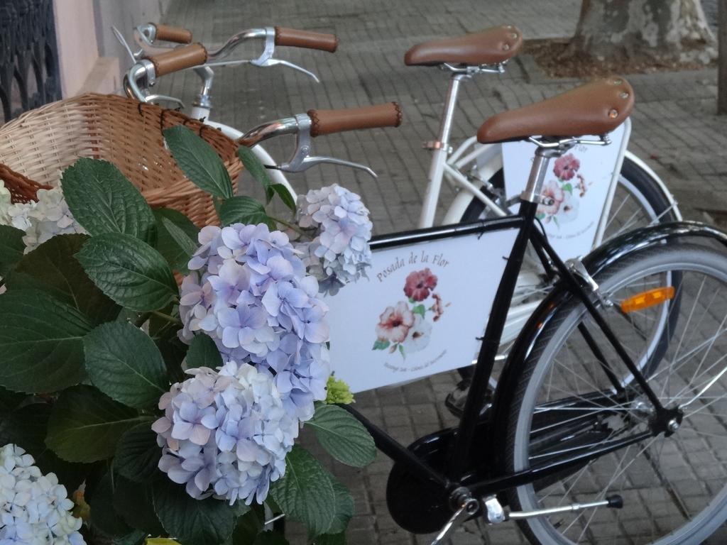 Posada De La Flor 콜로니아델사크라멘토 외부 사진